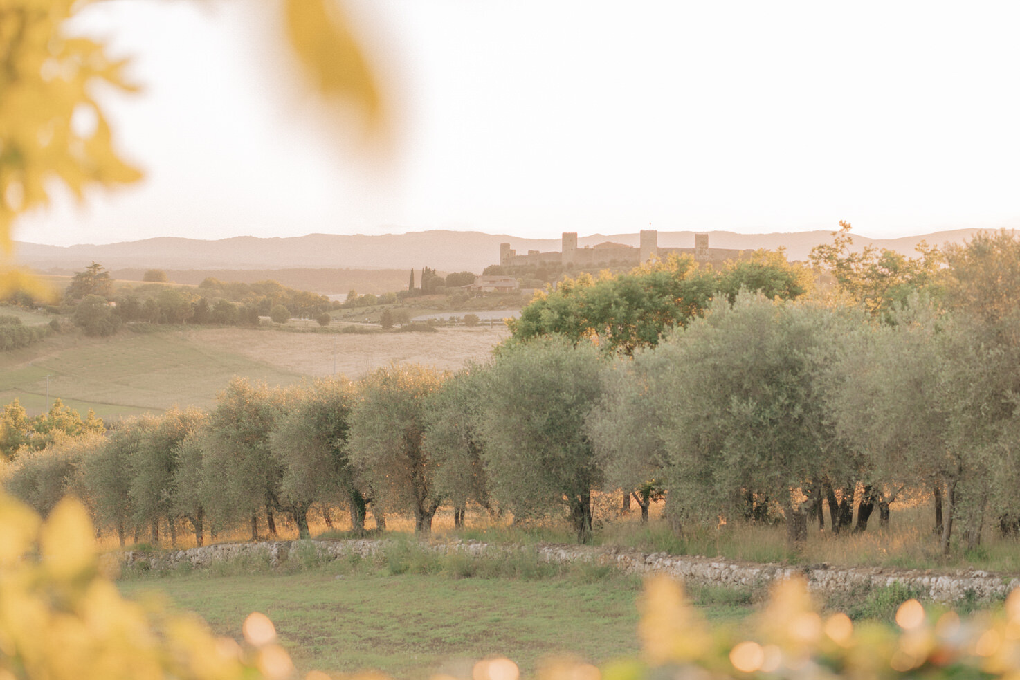 Panorama of Monteriggioni near Siena