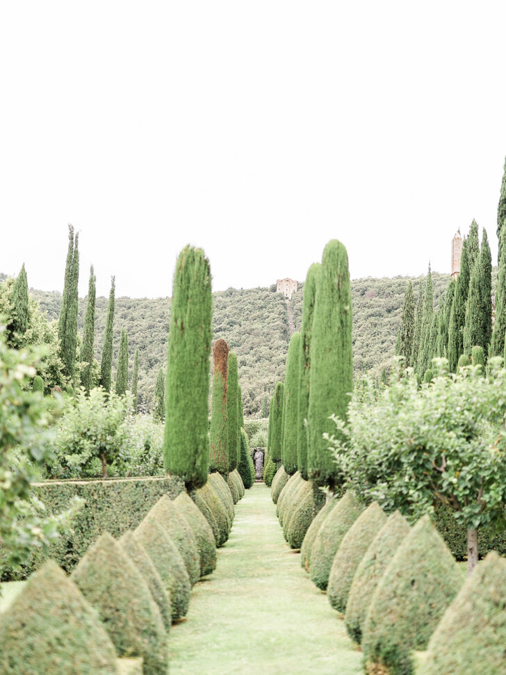 Yew-lined path in the gardens