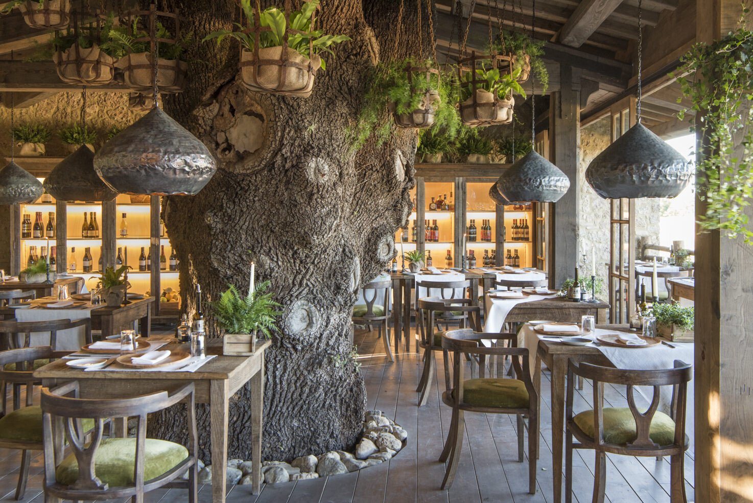 Treehouse restaurant