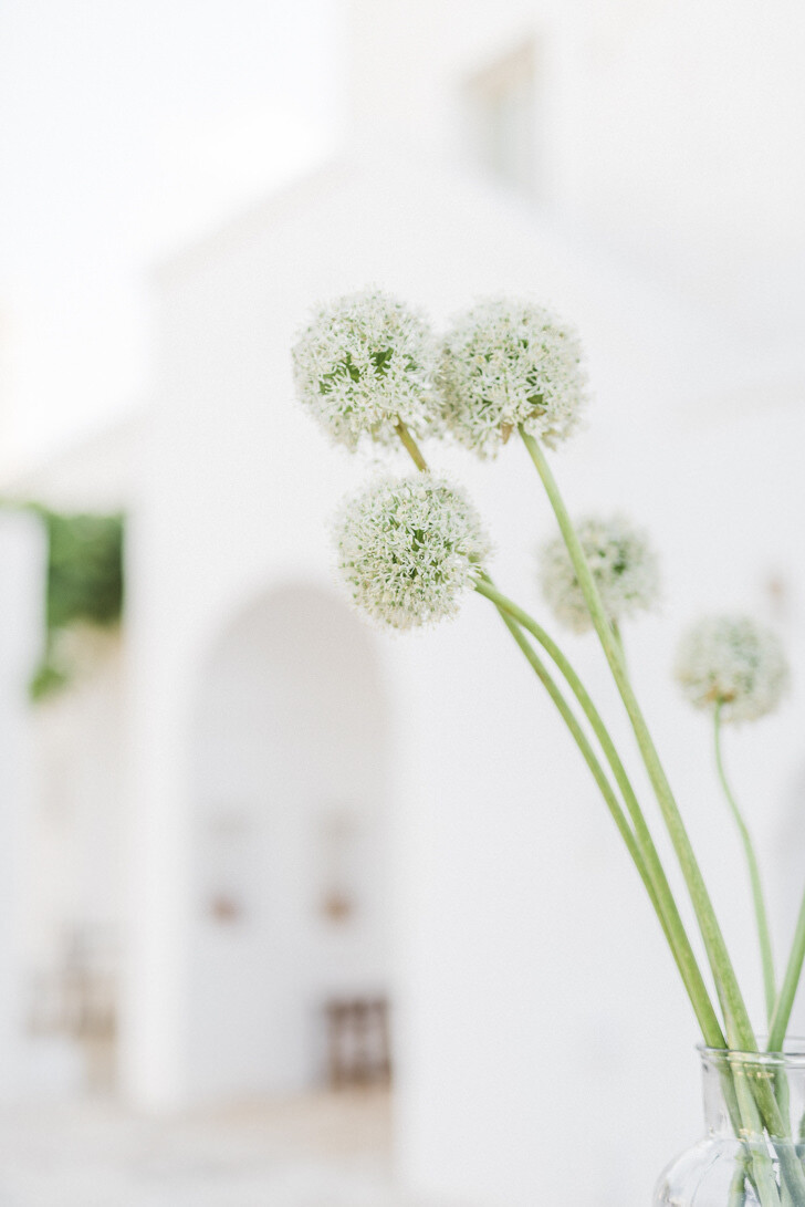 Flowers at the Masseria