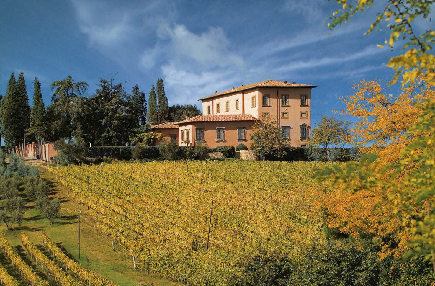 Vineyards surrounding Villa Mangiacane
