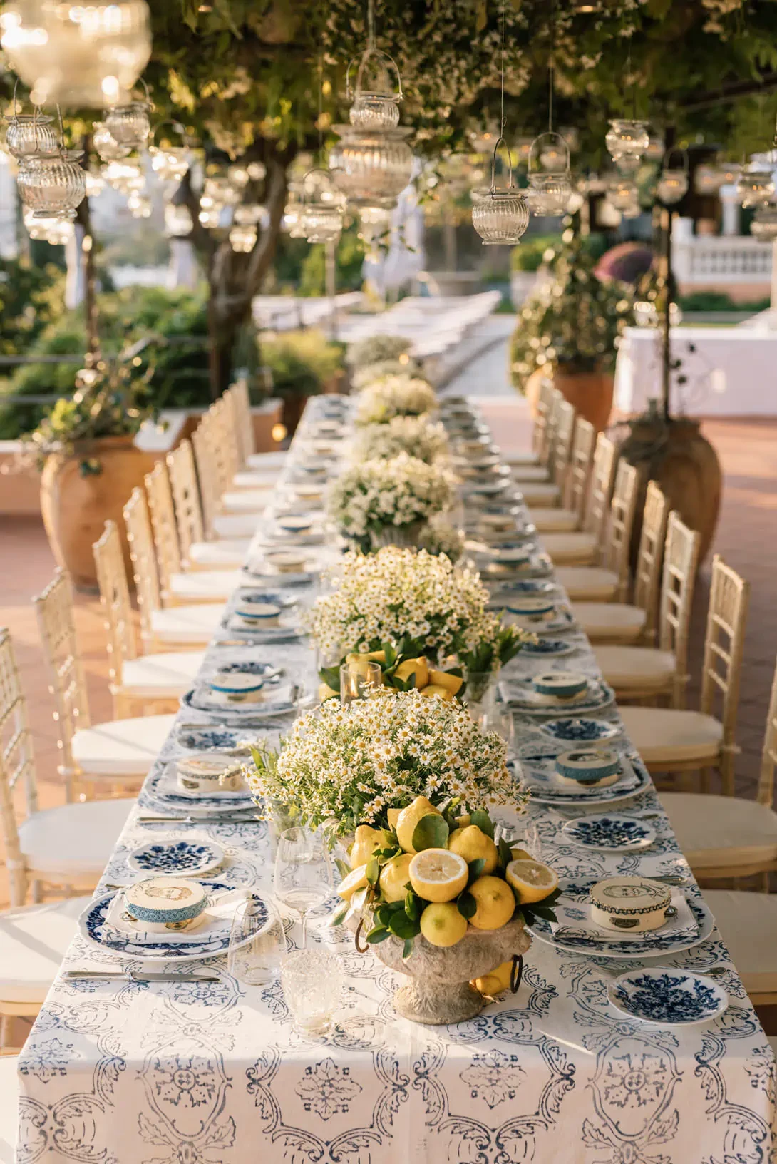 Flower decors with chamomile and lemons