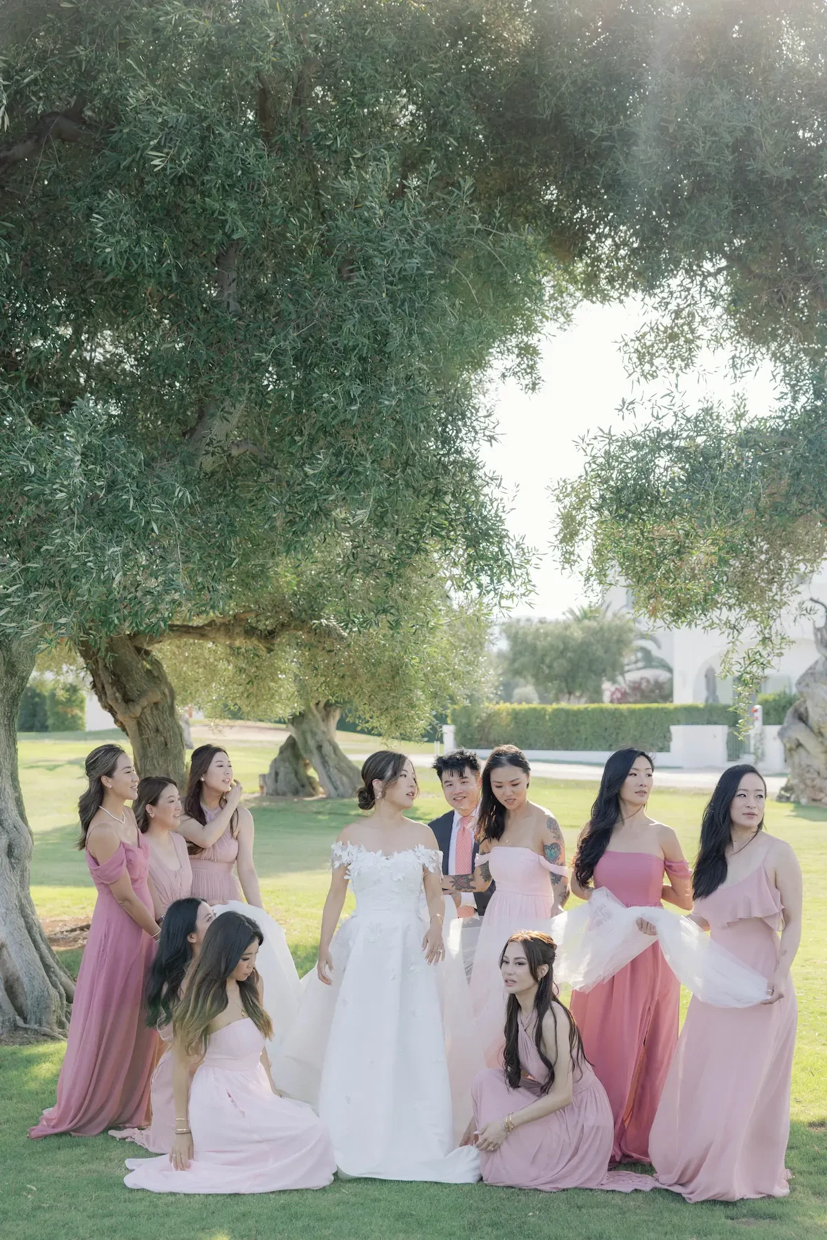 Bride And Bridesmaids In Pink Dresses Group Portrait