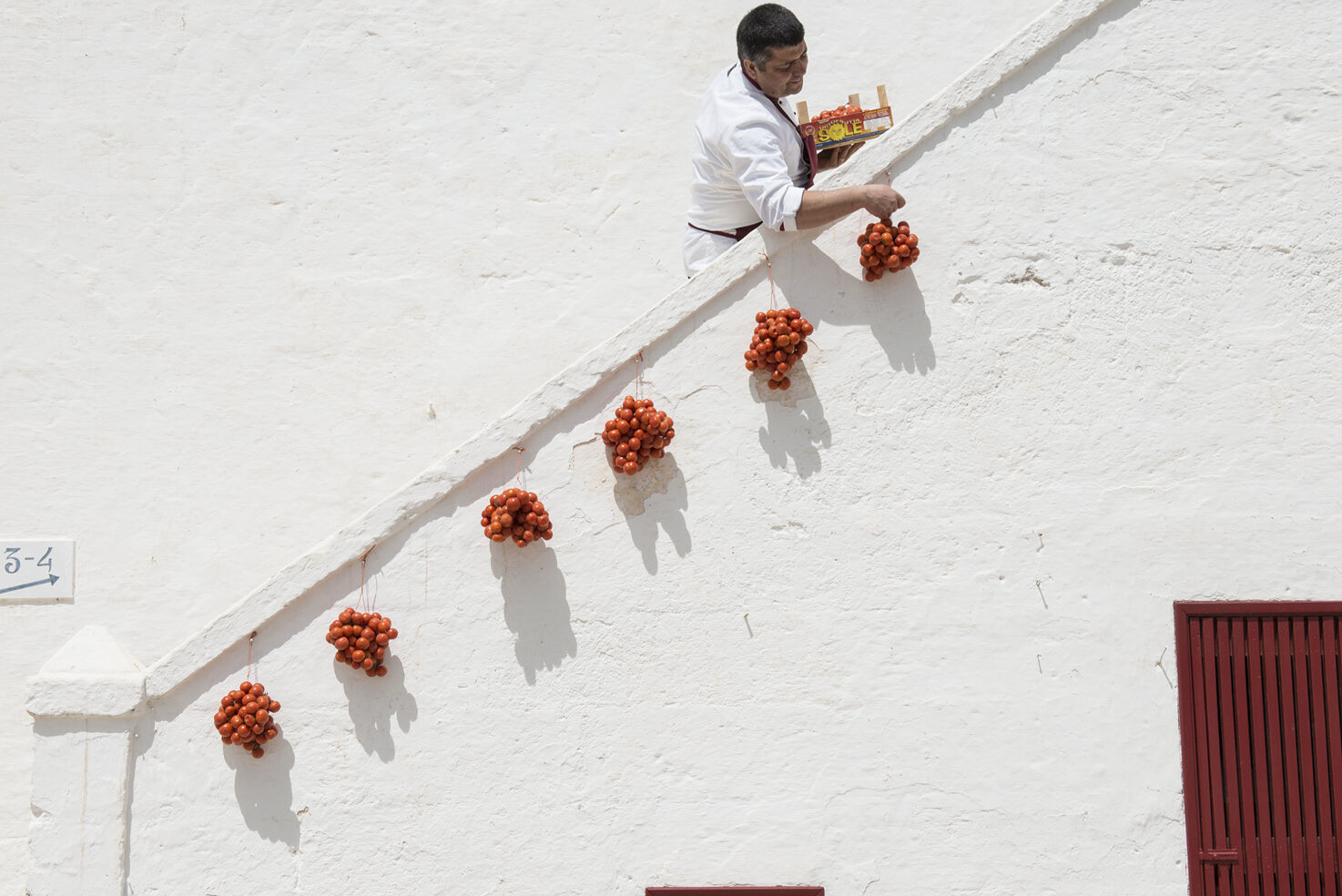 Fresh produce for Puglia cuisine