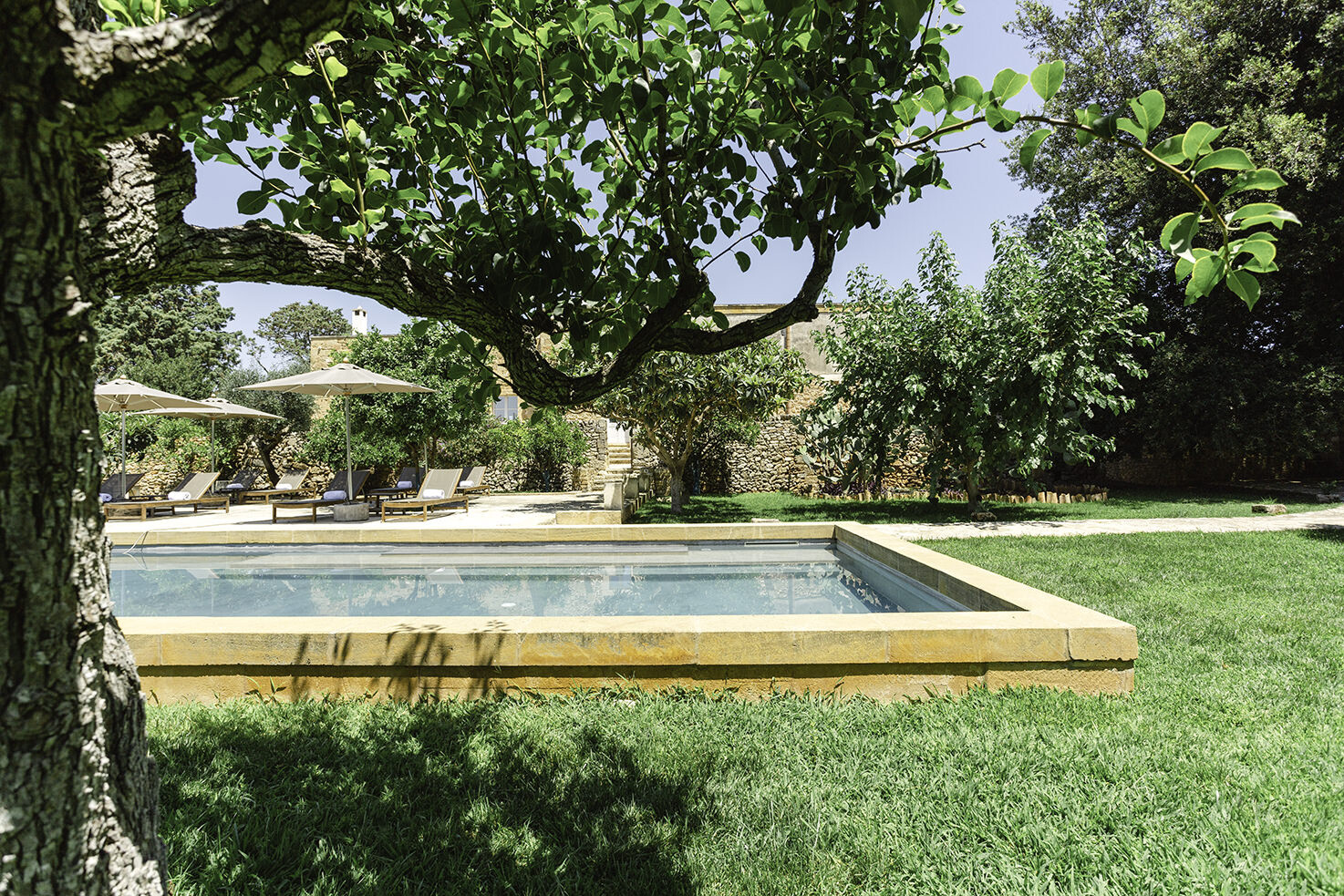 Garden pool at Masseria Borgo Mortella