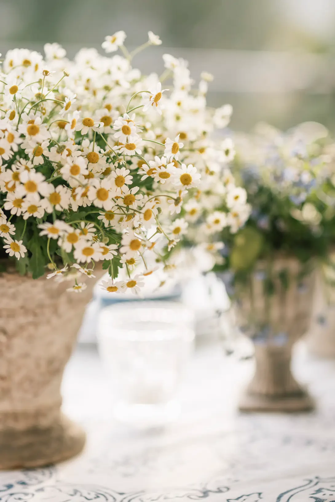 Detail of chamomile vase