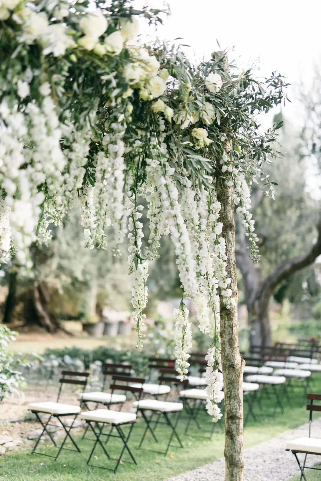 Chuppah with white roses and wisteria
