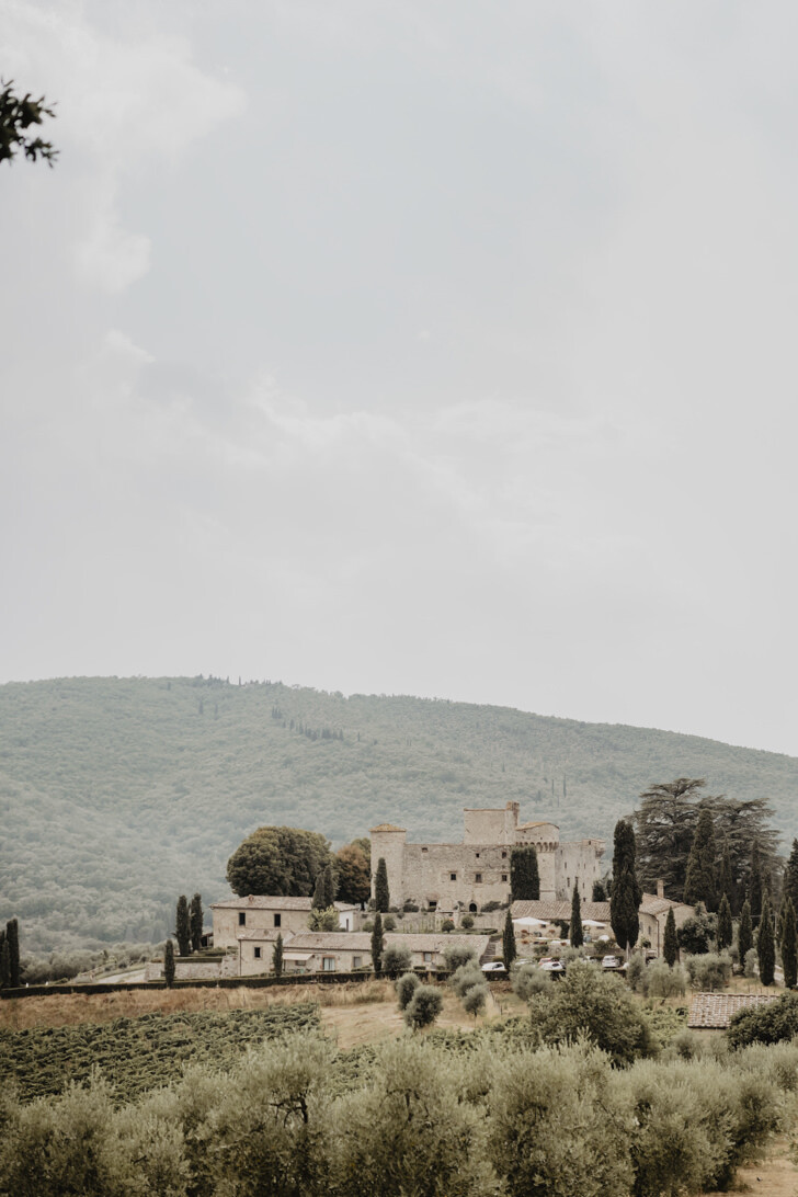 Panorama of the castle