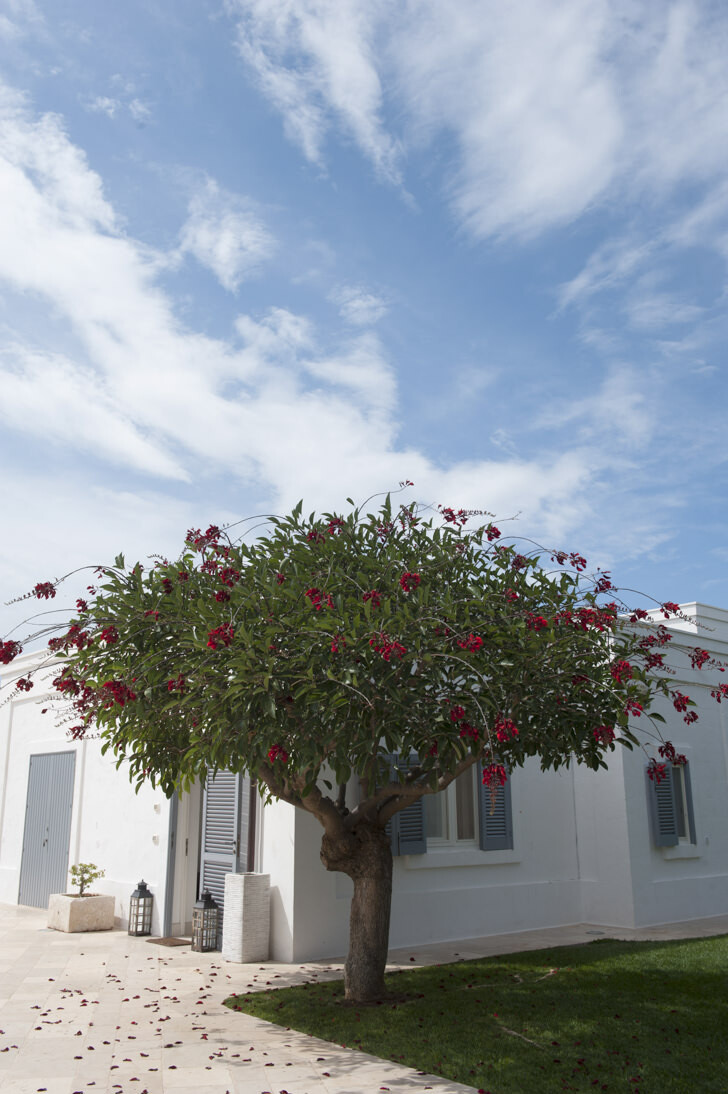 Exterior of Masseria Don Luigi