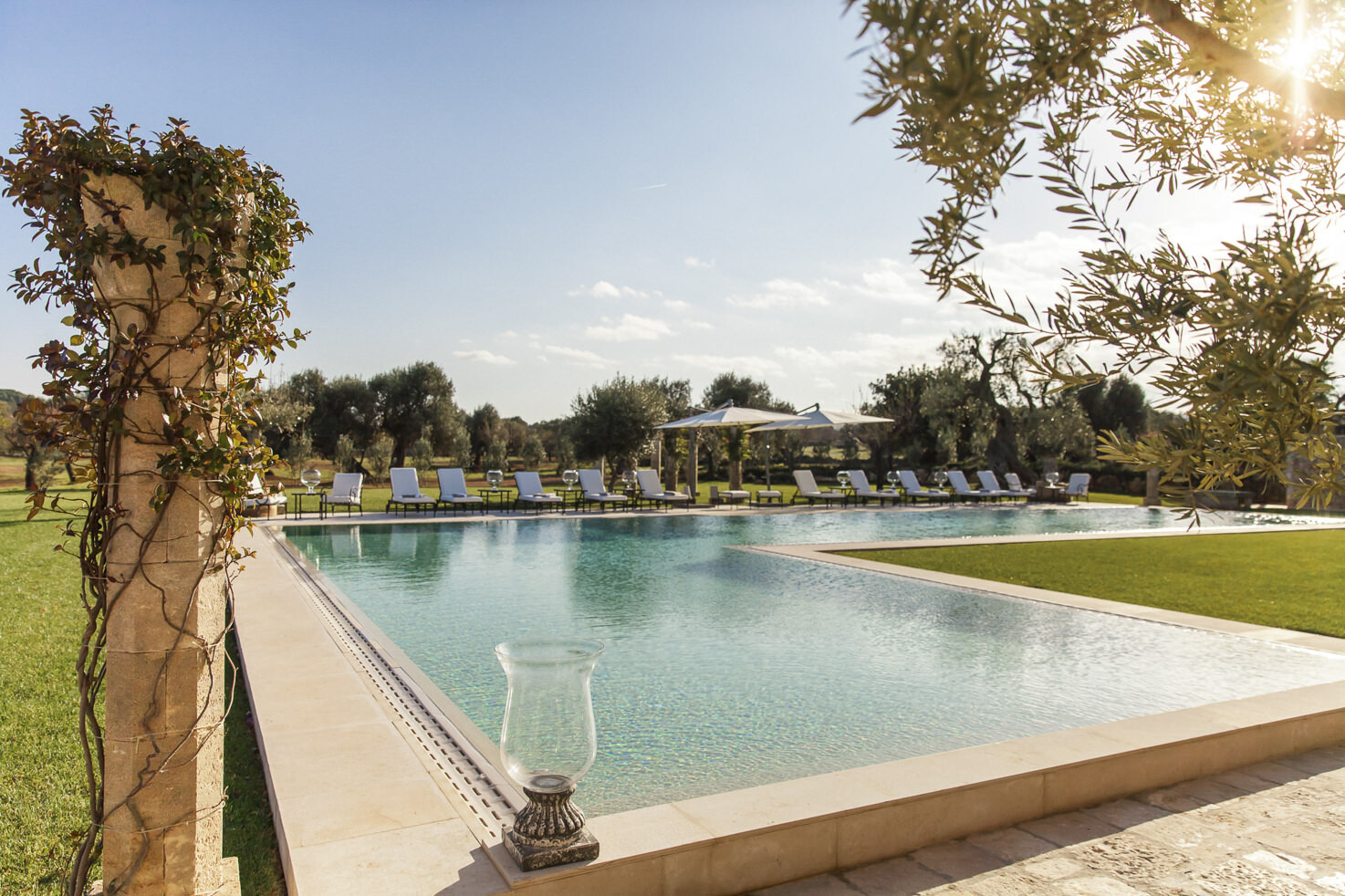 Garden with pool