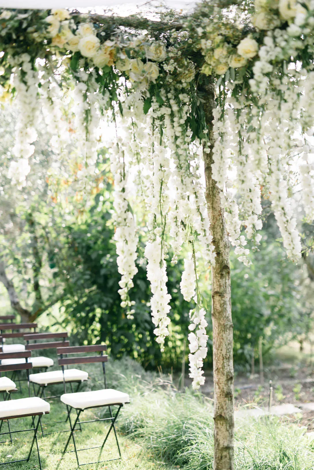 Chuppah with white wisteria