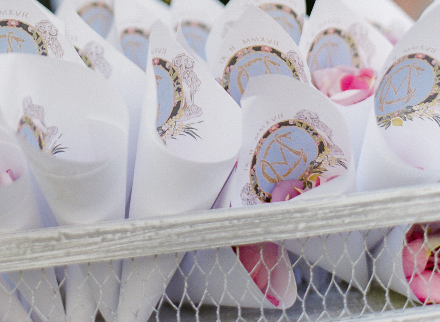 Paper cones with petals