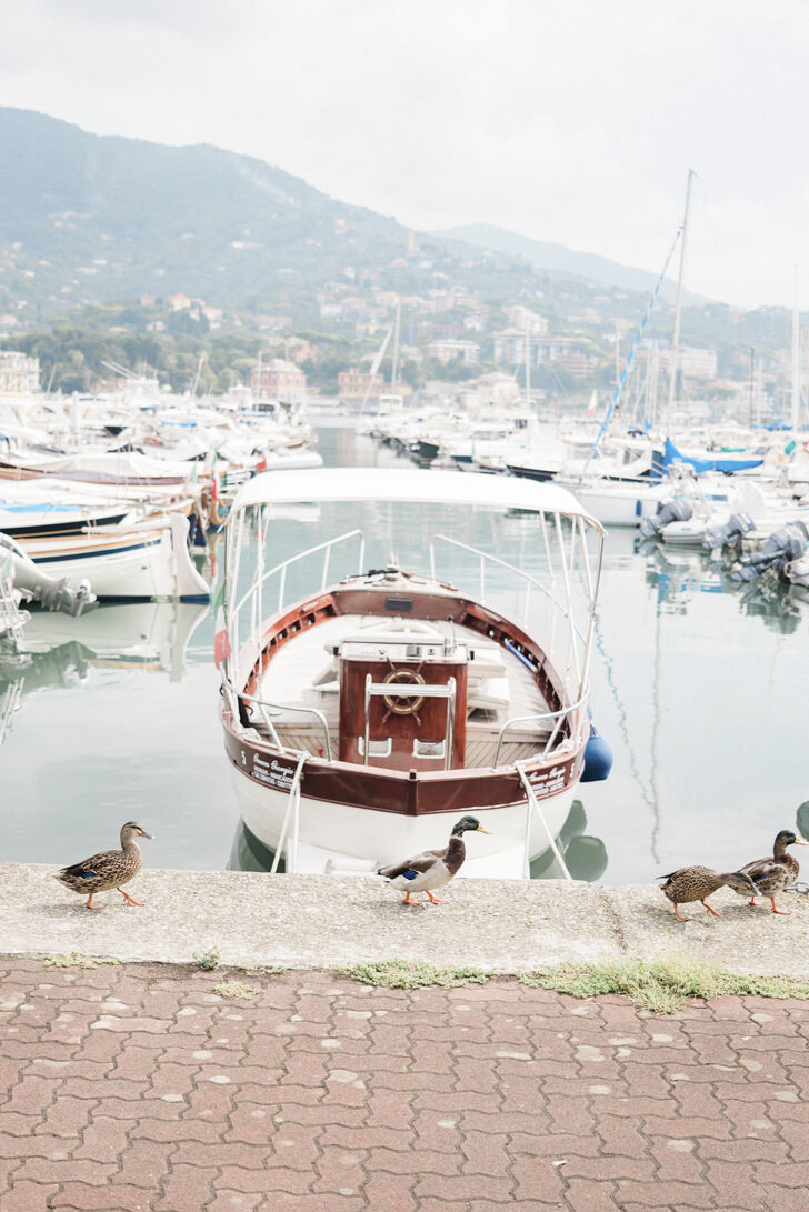 A boat on the shore of the Riviera