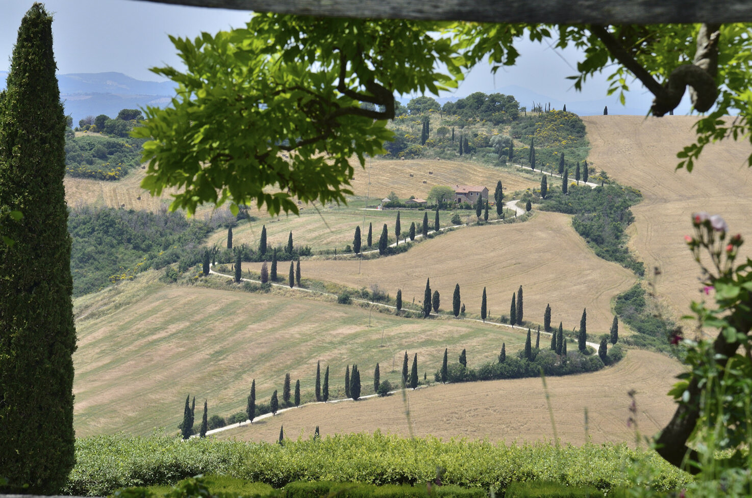 Panorama with view over the Tuscan hills
