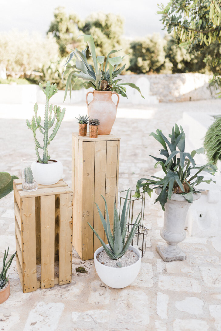 Decoration with succulents