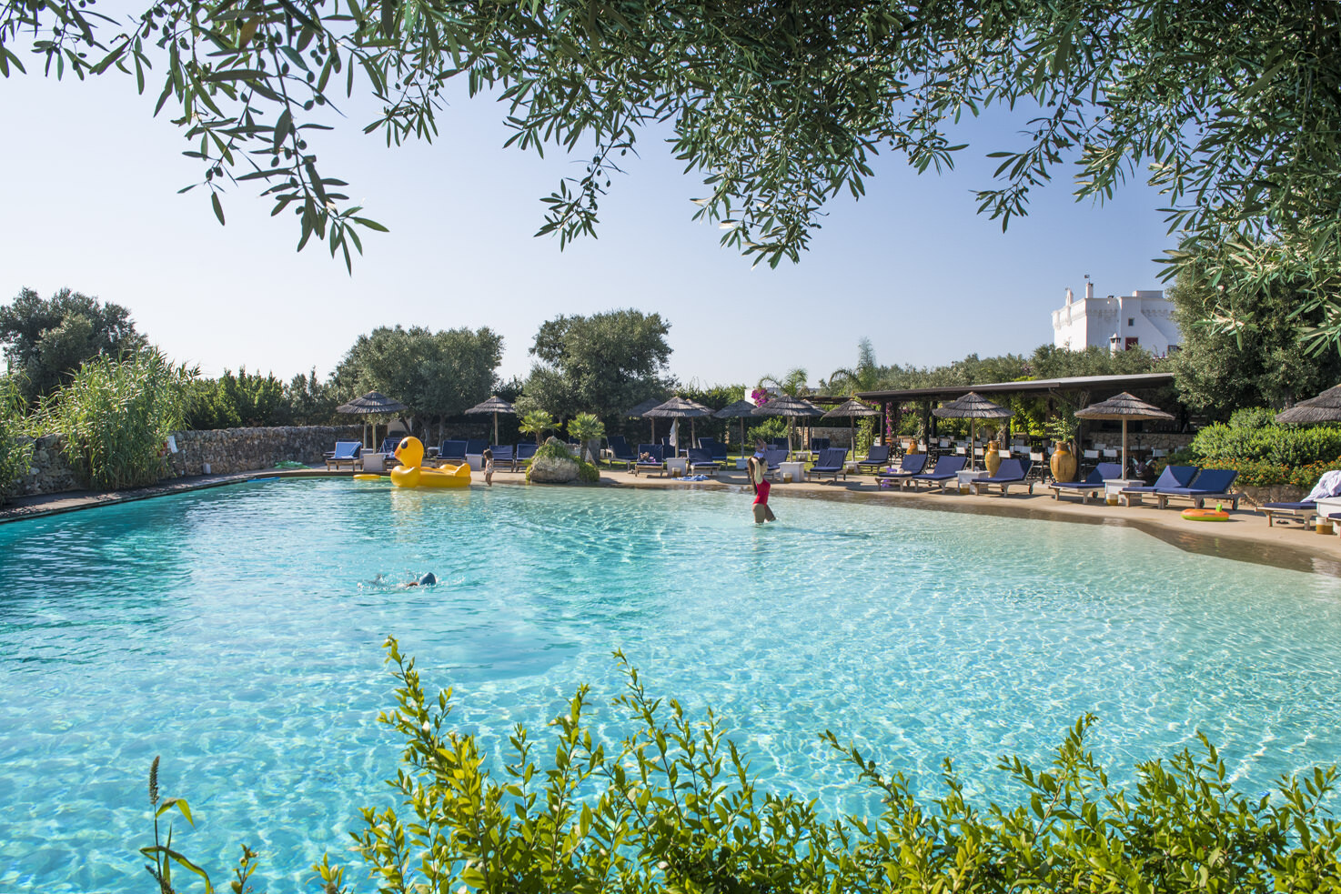 Pool at Masseria Torre Coccaro