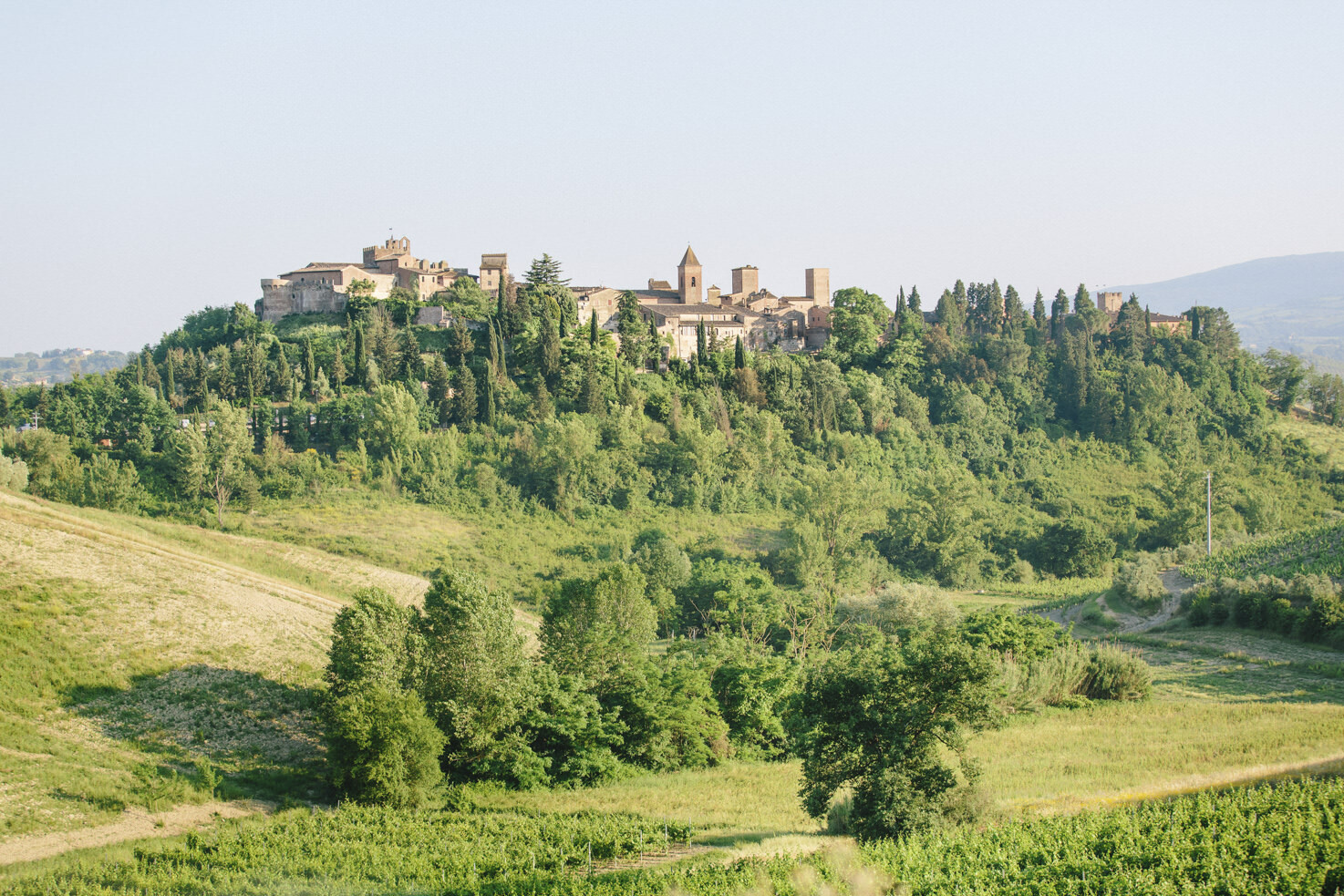 Panorama of Certaldo
