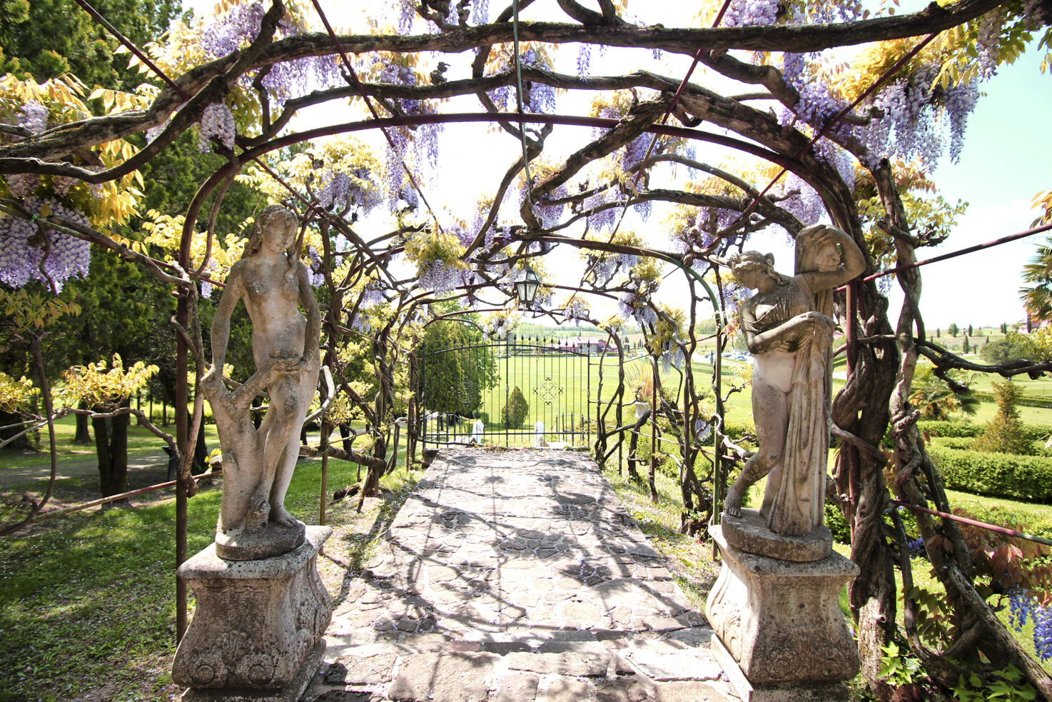 Wisteria path in the gardens