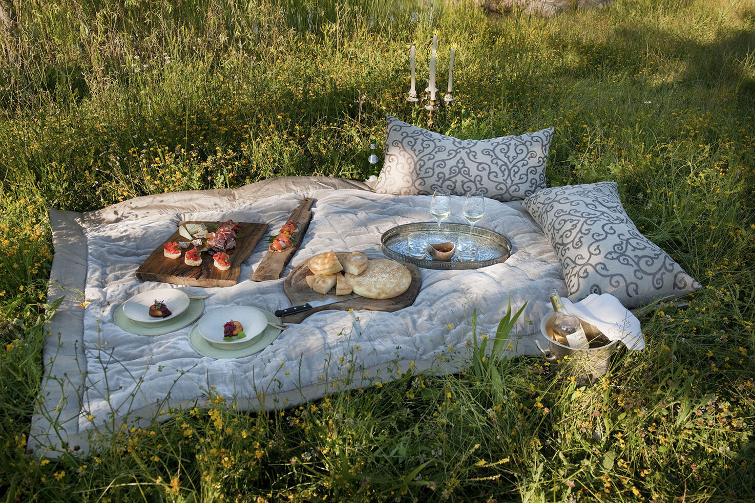 Picnic in the countryside