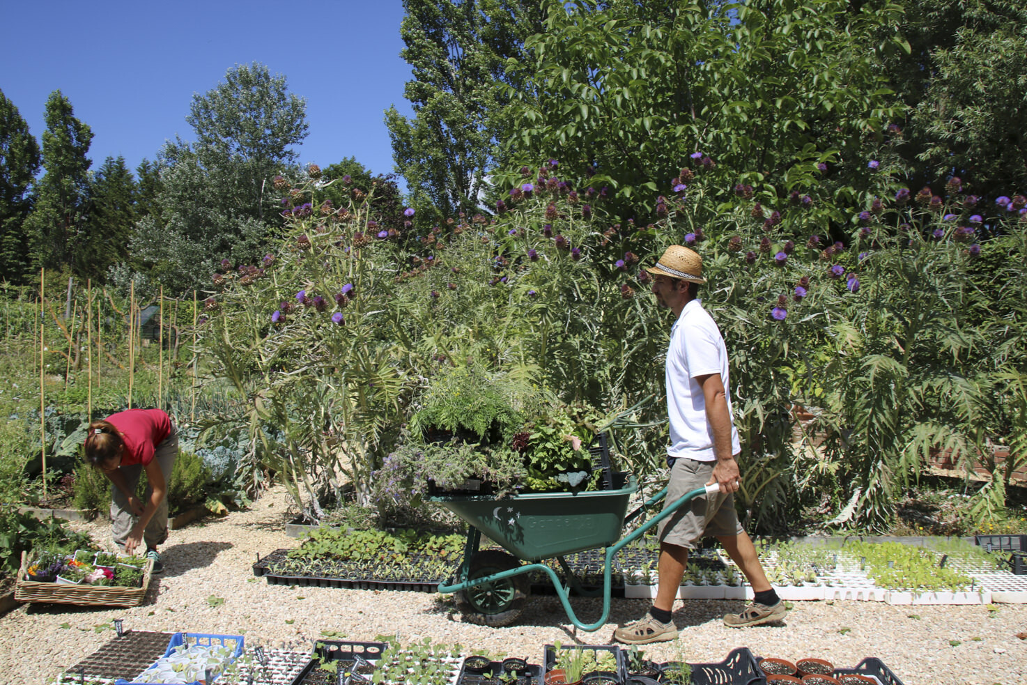 Culinary garden of Borgo Santo Pietro