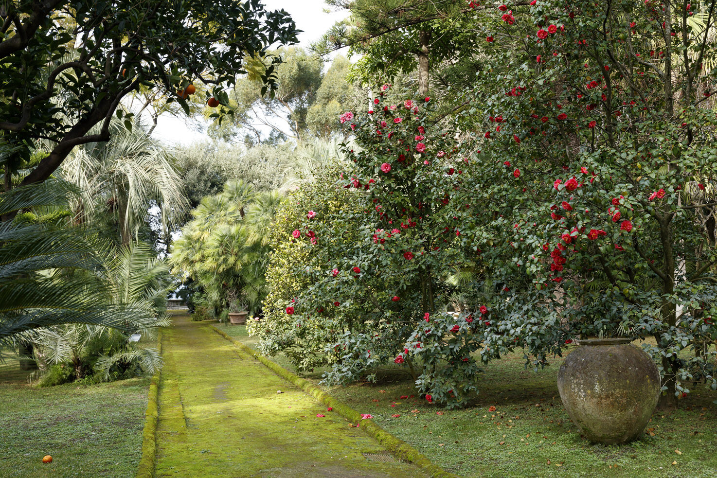 Gardens of Villa Astor in Sorrento