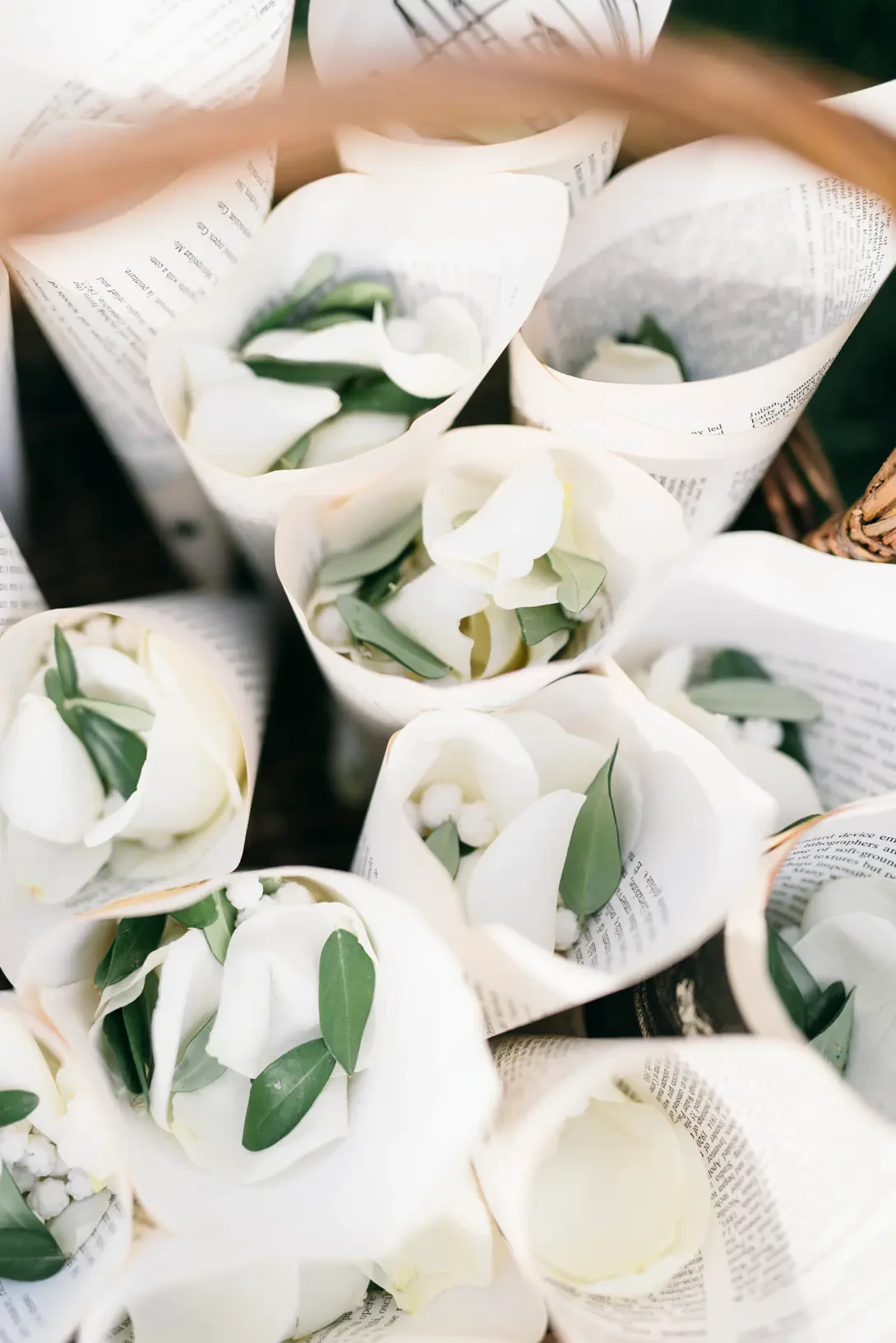 Paper cones with petals and leaves