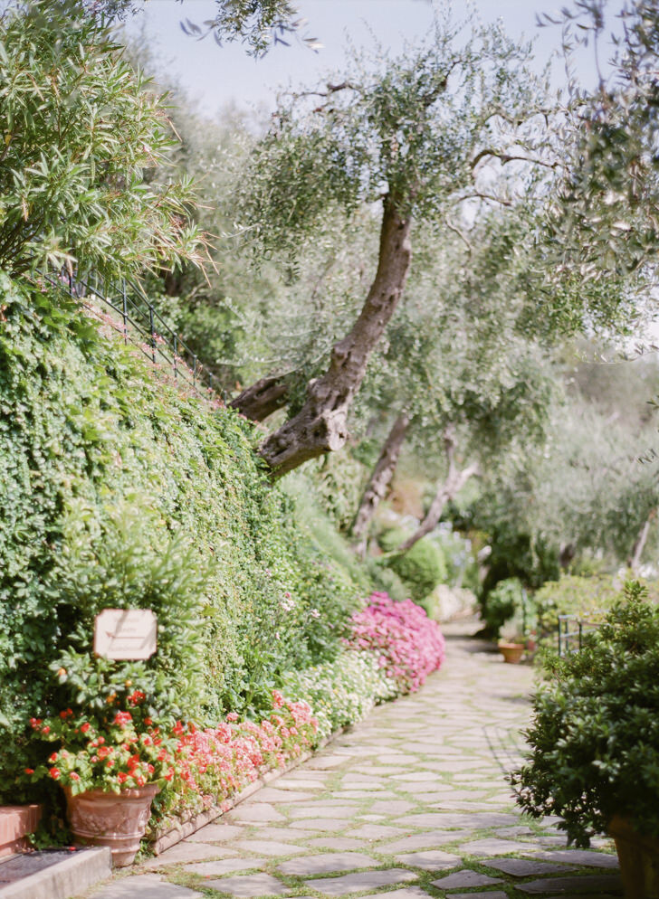 Blooming gardens