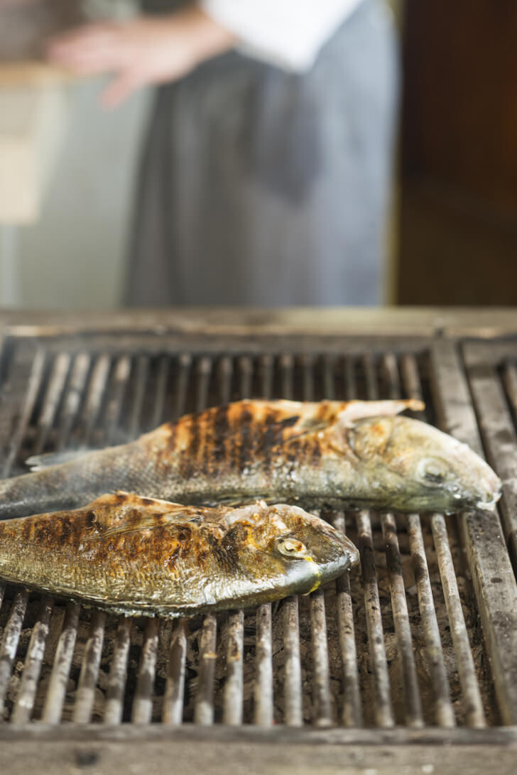 Grilled fish