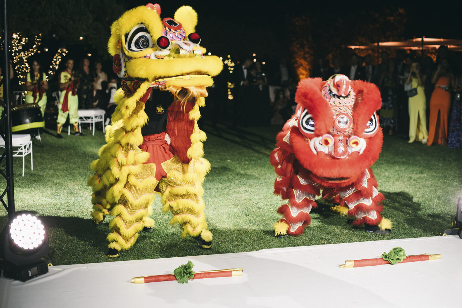 Chinese Lions show
