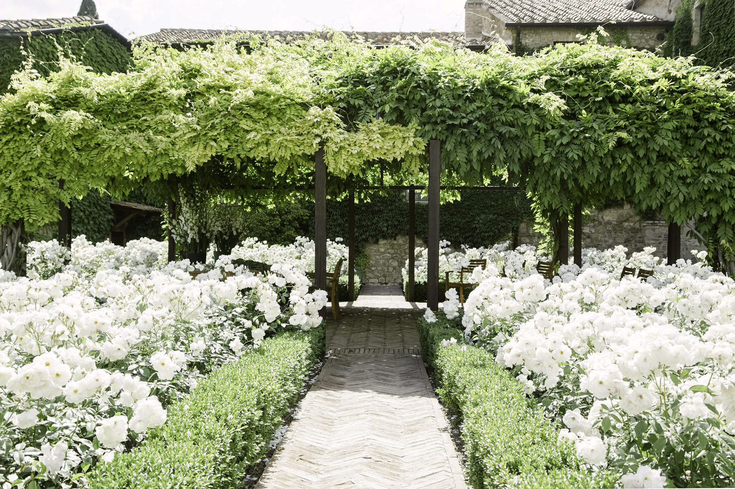 Rose garden and pergola