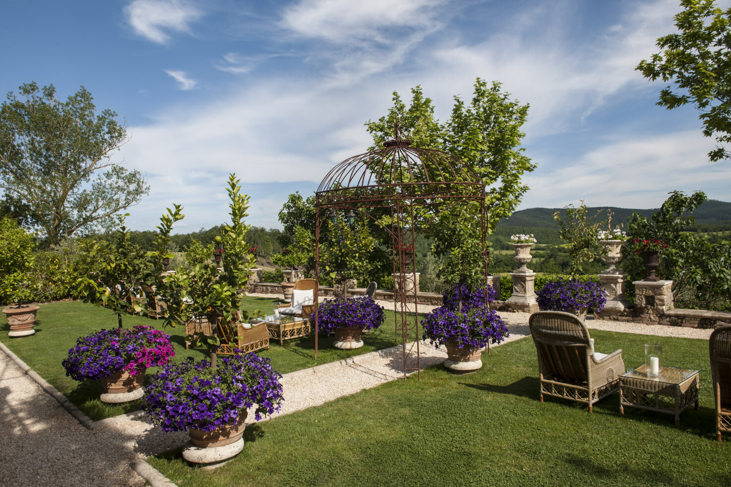 Lemon garden