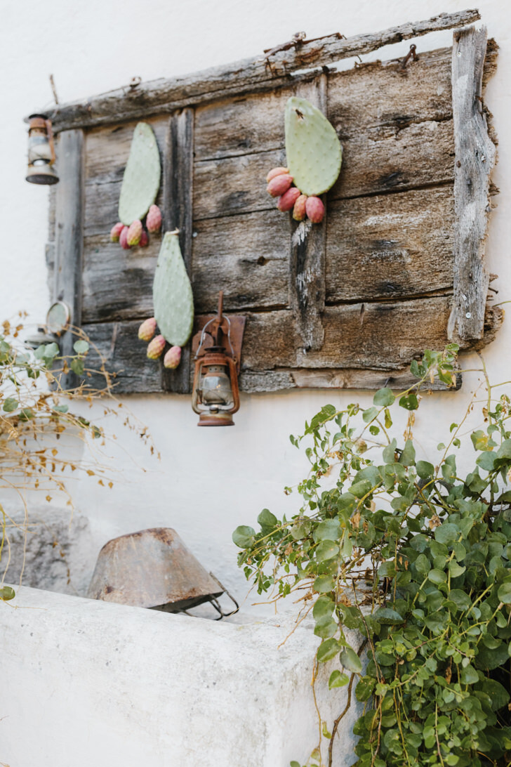 Prickly pears